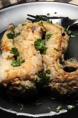 Anguilla anguilla Eel  Capitone Речной угорь                                    ft61011606 Węgorz europejski Jegulja 歐洲鰻鱺 