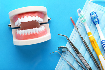 Teeth model with dental tools and toothbrushes on blue background