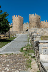 Fototapeta na wymiar View of the magnificent medieval wall of the city of Avila, Puerta de la Adaja. Vertical photography that runs up some steps to the top of the photograph, looking at the wall.