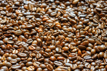 background of coffee beans