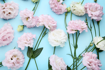 Bouquet of eustoma flowers on blue background