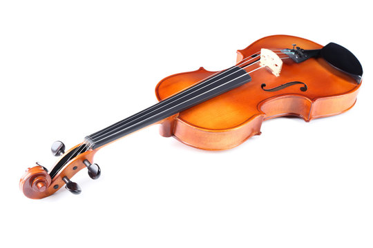 Violin isolated on white background
