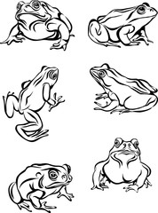 images of frog, toad, line, black and white graphics