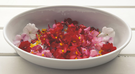 Coloured flowers in a white cup on a white wooden table