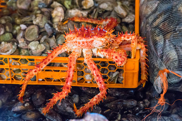 Huge crab in the city market, Puerto Montt, Chile. Close-up.
