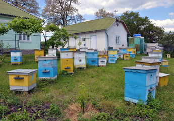 Private apiary near the manor