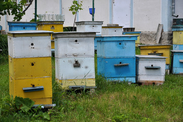 Private apiary near the manor