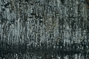 Dark gray texture with cracks