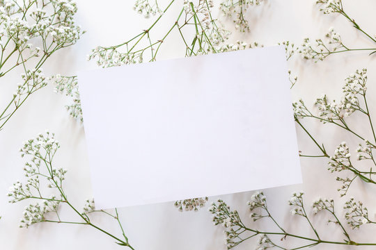 A white mockup card located in the center of field flowers on a white background