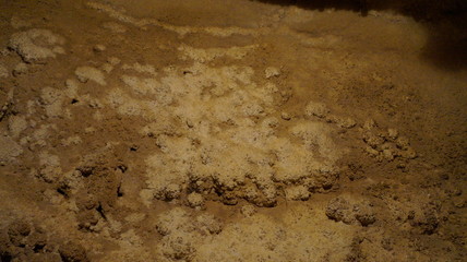 Scenery from inside of a cave