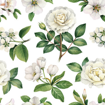 Watercolor white flowers. Seamless pattern