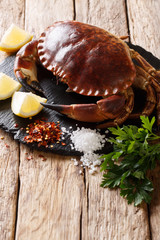 Country style: raw edible brown crab with ingredients for cooking close-up. vertical