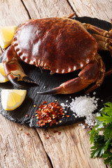 Raw brown crab with ingredients for cooking close-up on table. vertical