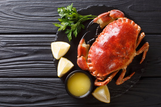 Delicious traditional boiled whole brown crab with sauce, lemon and parsley on a slate board close-up. Horizontal top view