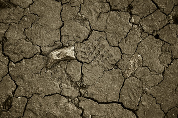Dry cracked earth. The desert. Background. It's hot, the global shortage of water on the planet.