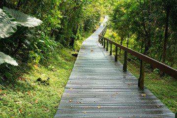 Obraz premium Pathway of terrace hiking trail in Taroko gorge national park Hualien Taiwan