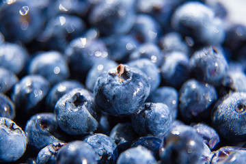 Blueberry macro close up with soft focus. Juicy, lush berries covered with shining water drops. Fresh, appetising collection with beautiful bokeh. Delicious healthy dessert.