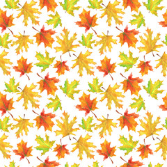 Fototapeta premium Autumn leaf pattern