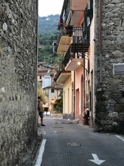 the Doria castle in Dolceacqua