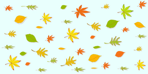 background with autumn colorful leaves 