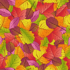 Autumn floral background. Design elements for the fall seasonal banner, poster, flyer, or Thanksgiving greeting card.