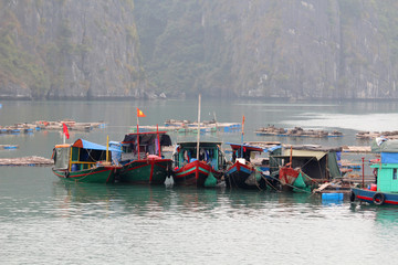 Local fishermen`s boats at Cat Ba island in Ha Long bay, Vietnam - obrazy, fototapety, plakaty