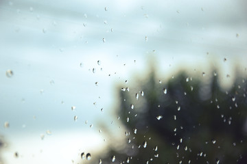 Drops on the window