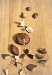 mushroom