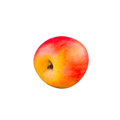 red apple isolated