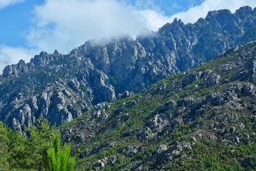 Fototapeta na wymiar Corsica-pass Restonica