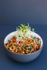 Plate of wok vegetable rice with microgreen on the dark background