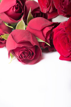  bouquet of red roses around white background
