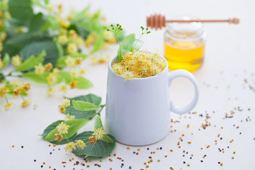 cup of linden tea and linden honey