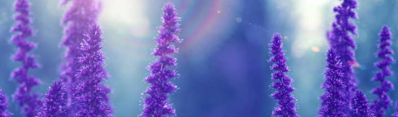 Obraz premium Vegetative background with wildflowers, panorama of a sunny meadow, macro, bokeh background, blur