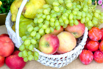 Organic fresh fruit in a white wicker basket. Apples, pears, grapes, peaches, plums.