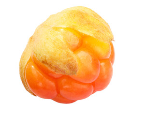 Cloudberry rubus chamaemorus, paths