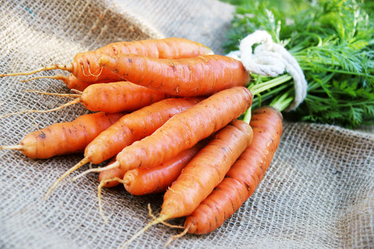 Carrots, Karotten, Möhren, Gelbe Rüben, Bund, frisch, Textraum, copy space
