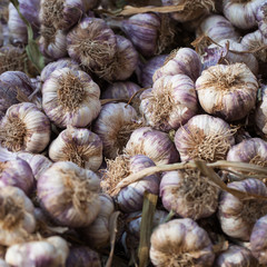 Etalage d'ail sur un stand du march&eacute;