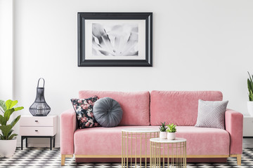Pillows on pink sofa and plant in white living room interior with poster and lantern on cabinet. Real photo