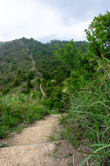 Wandern in Hong Kong