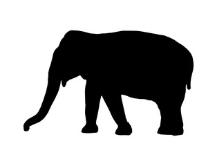 Vector elephant black silhouette
