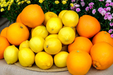 Organic fresh citrus fruits in a white wicker basket. Yellow lemons, orange oranges