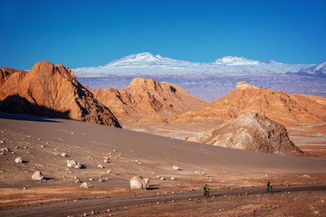 Travelers with bicycles on a track in Moon Valley, Atacama desert, snowy Andes mountain range in the background