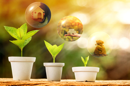 Flowerpot bank of money and seed plant growing value with savings for investment put on the old wood and bubbles for business dreams with plan as loan and buy home and car in the future concept.