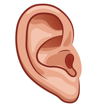 Ear Cartoon Images – Browse 177,193 Stock Photos, Vectors, and Video |  Adobe Stock
