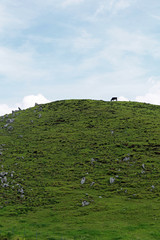 四国カルスト高原