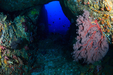Fototapeta na wymiar A tunnel deep underwater on a tropical coral reef