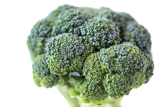 Broccoli close-up.