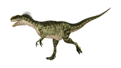 3D Rendering Dinosaur Monolophosaurus on White