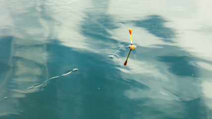 Float for catching fish on the surface of water